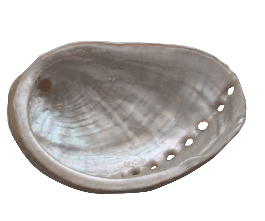 Australian Mother of Pearl Co. Pty Ltd